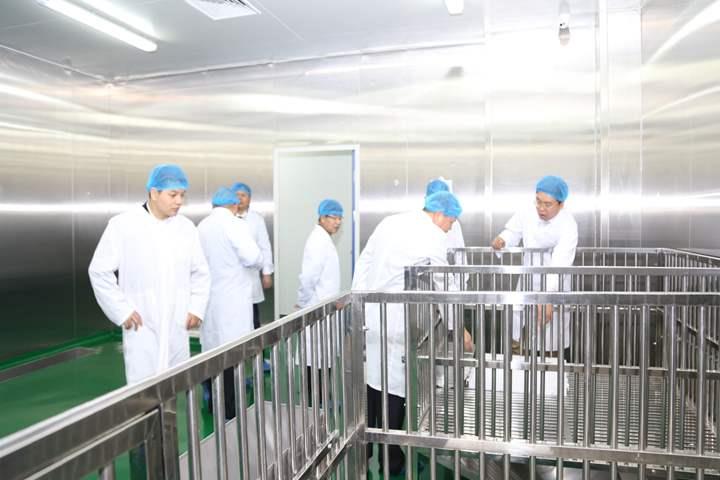 乳膏制劑GMP認證現場檢查